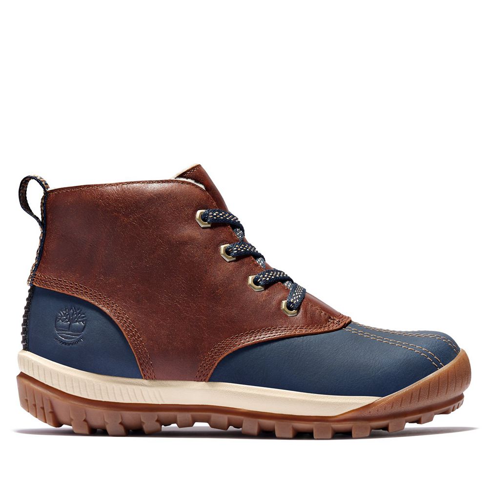 Timberland Womens Chukka Boots Mt. Hayes Waterproof - Brown/Blue - India MO2167459